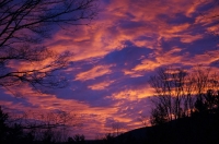 NB2_Housatonic_DeVot,William_(Two)_Taconic_Sunset.jpg