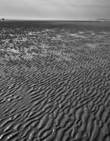 Ogunquit_DSC_7080.jpg
