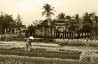 Vietnam_vegi_garden_B_W_copy.jpg