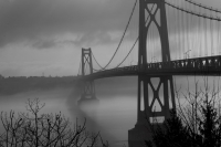 fogbound_bridge_r_pauline.jpg