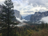 Yosemite_s_Autumn2C_Kathy_O_Flinn.jpeg