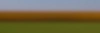 Cornfield_Blur20by59at300.jpg