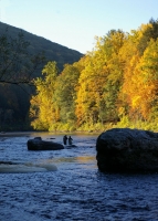 Fall_Angler_Housatonic.jpg