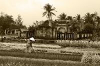 Vietnam_vegi_garden_B_W_copy.jpg