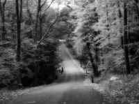 JohnBrownRoad_2X_effect_BW_(Medium).jpg