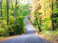 John_Brown_Road_Color.jpg