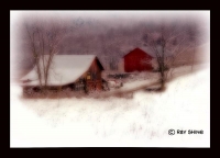 Local_Winter_Color_(Medium).jpg