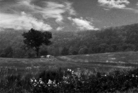 Old_country_scene_BW.jpg