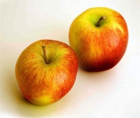 Two_Apples_(Medium).jpg