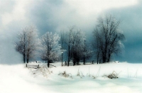 Winter_scene_8_(Medium).jpg