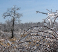 Ice_Storm_1_1.jpg