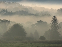 Morning_Fog--Millerton_1.jpg